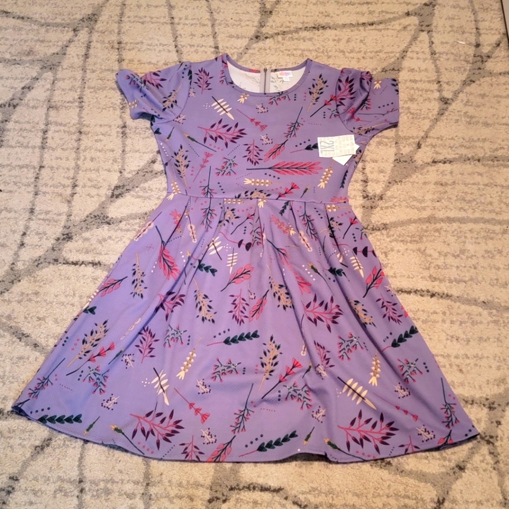 BNWT 2XL Amelia dress by LLR